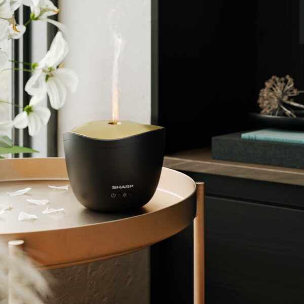 Sharp Ultrasonic Aroma Diffuser DF-A1E-B
