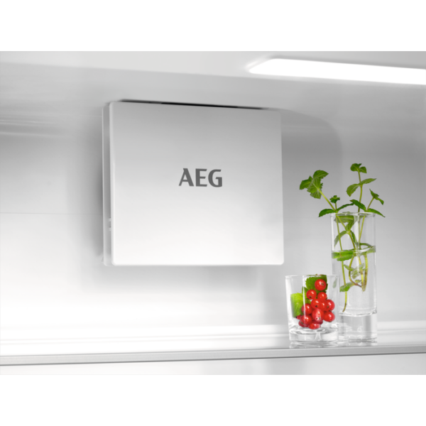 AEG 7000 GreenZone ΨΥΓΕΙΟΚΑΤΑΨΥΚΤΗΣ 177.2 cm